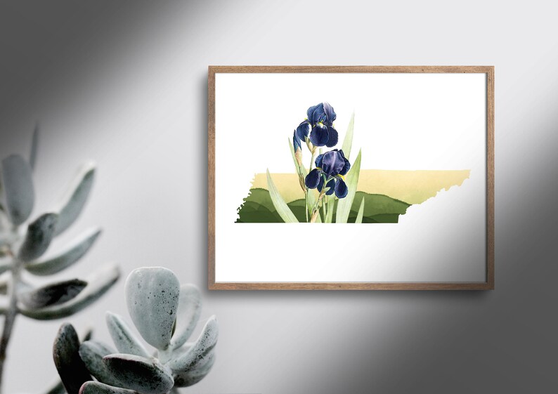 Tennessee wall art, Tennessee art print, Nashville gifts, Memphis TN, state flower print, iris flower gifts, Knoxville TN print, TN wall art image 4