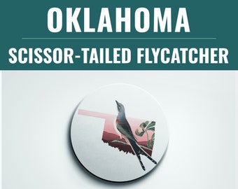 Oklahoma state bird coaster set, Oklahoma gifts, Oklahoma home decor, bird lover gift, Oklahoma coasters, bird coasters, set of coasters