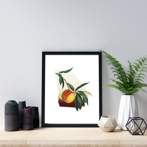 Georgia peach art, state of Georgia peach tree, fruit trees art print, Georgia southern decor, botanical illustration, minimalist artwork image 6