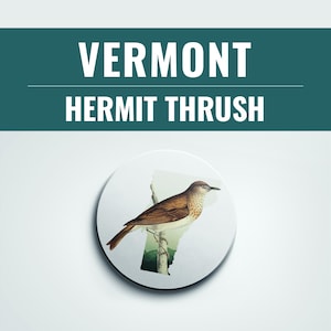 Vermont Gifts: Vermont State Bird Coaster Set, Unique VT Home Decor, Perfect for Bar & Bird Lovers, Set of Coasters
