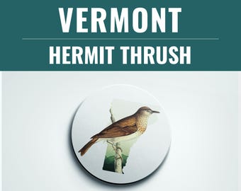 Vermont State Bird Coaster Set: Hermit Thrush, VT Home Decor