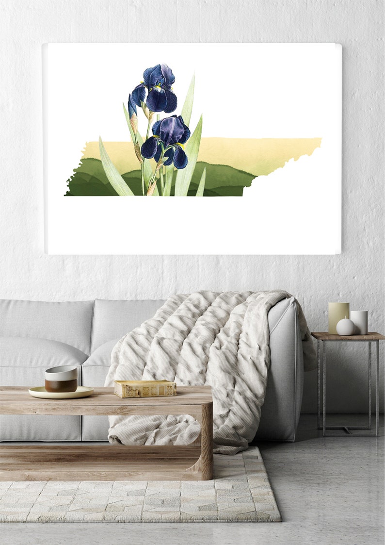 Tennessee wall art, Tennessee art print, Nashville gifts, Memphis TN, state flower print, iris flower gifts, Knoxville TN print, TN wall art image 6