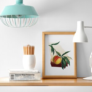 Georgia peach art, state of Georgia peach tree, fruit trees art print, Georgia southern decor, botanical illustration, minimalist artwork image 7