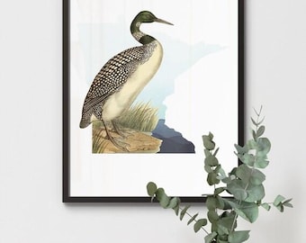 Common Loon Bird Art Print | Minnesota Lake House Decor | Bird Lover Gift | Wall Art Poster for Nature Enthusiasts