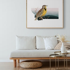 Montana state bird wall art, Montana Meadowlark art print, bird home decor, unique bird print, Montana home decor, western home decor image 5