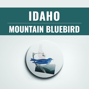 Idaho Mountain Bluebird Coaster Set: Idaho Home Decor Gift