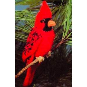 Vintage Crochet Pattern Red Cardinal Amigurumi Stuffed Bird Plush PDF Instant Digital Download