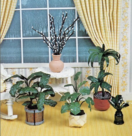 philodendron silver sword flower Rare Silver Sword Philodendron Hastatum