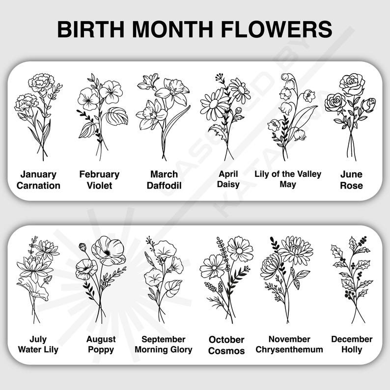 May include: A black and white graphic featuring birth month flowers. Each month has a different flower, including carnation, violet, daffodil, daisy, lily of the valley, rose, water lily, poppy, morning glory, cosmos, chrysanthemum, and holly.