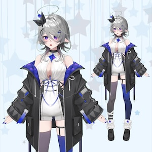 Premade Live2D Vtuber Model: Ready to Use, VTubeStudio Compatible