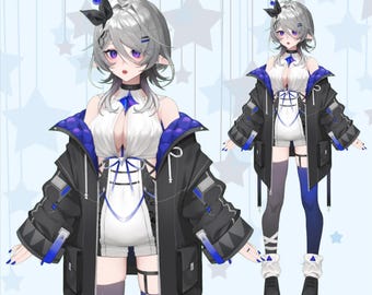 Premade Live2D Vtuber-model: klaar voor gebruik, compatibel met VTubeStudio