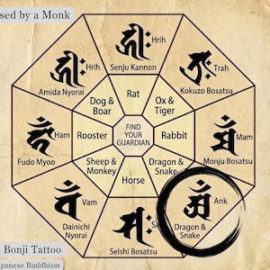 Disegno del tatuaggio Fugen Bosatsu Bonji, scritta zodiacale drago e serpente, timbro Procreate in sanscrito, flash giapponese ad alta risoluzione