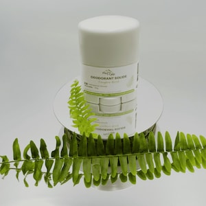 Peut inclure: Un déodorant solide blanc avec le texte "DEODORANT SOLIDE" est présenté sur une surface miroir, accompagné de feuilles de fougère vertes. Le produit est cylindrique avec un bouchon blanc. L'arrière-plan est blanc.