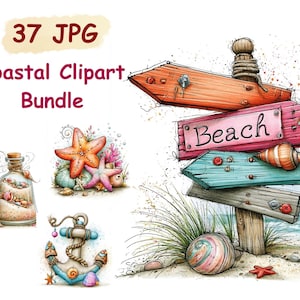 May include: Watercolor clipart bundle featuring coastal elements. Includes a beach signpost with "Beach" text, starfish, seashells, an anchor, and a bottle filled with sand and shells. The image has a watercolor style with a variety of colors.
