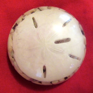 Sand Dollar seashell paperweight round dome resin acrylic lucite felt bottom stocking stuffer coastal beach house decor gift