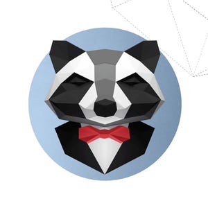 May include: A geometric illustration of a raccoon wearing a tuxedo and a red bow tie, set against a light blue circle. The text "RACCOON IN SUIT" is below the image, with the Instagram handle and copyright information at the bottom.