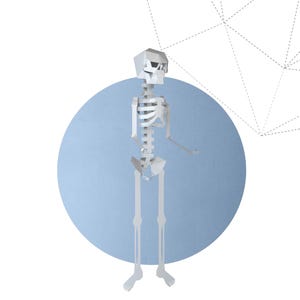 May include: A white, geometric papercraft skeleton figure stands against a light blue circle on a white background. The word "SKELETON" is displayed in a bold, outlined font below the figure. The image includes the Instagram handle and copyright information.