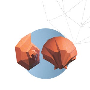 Peut inclure: Deux illustrations géométriques de coquillages orange sur fond bleu clair. Le mot "SHELLS" est écrit en gras, en contour, sous les coquillages. L'image comprend également le nom d'utilisateur Instagram "instagram.com/papercraftfreak/" et un avis de copyright.