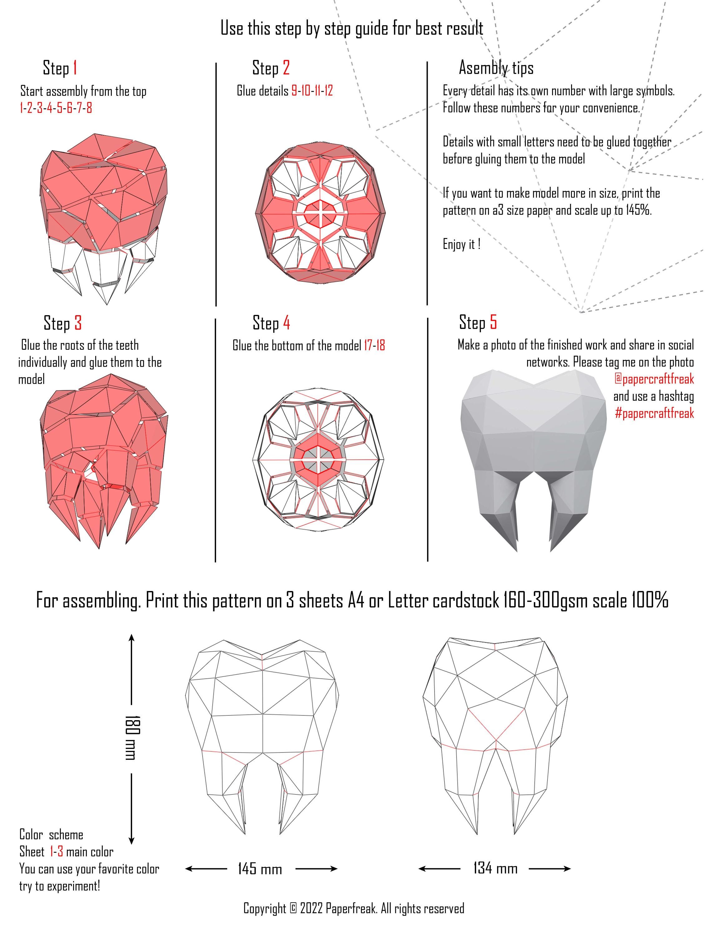 Molar Patterns Papercraft 3D TOOTH MOLAR Dental Veneers Low Poly Paper Sculpture Diy ...