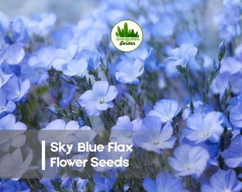 500 Sky Blue Flax Flower Seeds