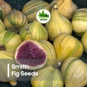 May include: A collection of Smith figs with yellow and green striped skin, including one halved fruit revealing a deep purple interior. The image features a circular logo with the text Evergreen Garden and the text Smith Fig Seeds.
