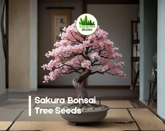 10 Sakura Bonsai Tree Seeds