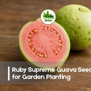 May include: A halved Ruby Supreme guava with pink flesh and visible seeds, next to a whole green guava. The image includes the text "Ruby Supreme Guava Seeds for Garden Planting" on a wooden surface. The logo of Evergreen Garden is also visible.