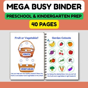 May include: An educational activity book, "MEGA BUSY BINDER," for preschool and kindergarten, with "40 PAGES." The book includes fruit and vegetable sorting activities. Illustrations show a basket for fruits and another for vegetables, plus garden cutouts.