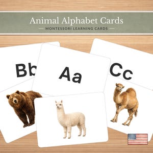 Könnte beinhalten: Tier-Alphabetkarten mit den Buchstaben A, B und C, die einen Bären, ein Alpaka und ein Kamel zeigen. Die Karten sind weiß mit schwarzer Schrift und Tierillustrationen. Der Text "Animal Alphabet Cards" steht oben.