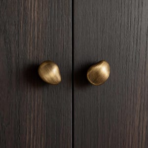 May include: Close-up of two brass cabinet knobs with an organic, pebble-like shape. The knobs are mounted on a dark brown wooden cabinet door with vertical wood grain. The knobs have a warm, metallic finish.