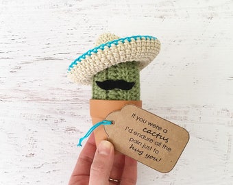 May include: A crocheted cactus wearing a sombrero with a blue trim and a black mustache. The cactus is in a brown pot and has a brown tag attached to it that says "If you were a cactus I'd endure all the pain just to hug you!"