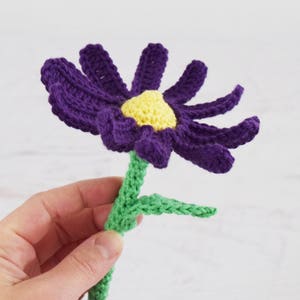 PATRON AU CROCHET Pétunia la fée du jardin et sa maison aux champignons amigurumi jouet crochet fée poupée softie fait à la main pdf modèle numérique image 5