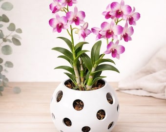 3D Printed Orchid Planter Large – Modern Decorative Pot for Indoor Plants