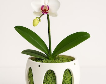 Tall Orchid Pot with Holes – 3D Printed with Elegant Arches for Airflow & Root Health