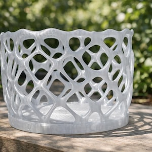 Coral‑Inspired Decorative Pot • Translucent Display Planter for Houseplants & Orchids