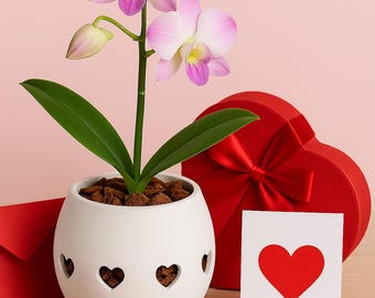 Heart Orchid Pot 4” Valentine’s Day Planter 3D Printed Gift for Plant Lovers