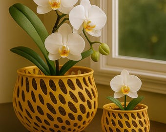 Modern 3D Printed Orchid Pot Set – Sculptural Large + Small Breathable Planters for Healthy Orchids