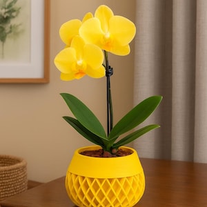 以下が含まれることがあります： 幾何学模様の黄色い鉢に入った、鮮やかな黄色の蘭の植物。 蘭は、オレンジ色の中心部と濃い緑色の葉を持つ明るい黄色の花を持っています。 植物は木製のテーブルの上にあり、背景には額入りの写真があります。