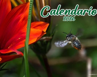 Nuestro “Abejas Calendario 2026” en español, es todo en uno: agenda, calendario lunar y almanaque para el año completo.
