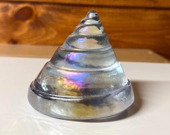 Glass Shell Paperweight | Silvestri Iridescent Art Glass | Coastal Desk Decor | Vintage Seashell Accent