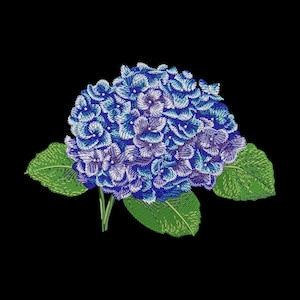 Puede incluir: Flor de hortensia bordada en tonos azules y morados, con hojas y tallos verdes, sobre un fondo negro. La costura detallada crea una apariencia texturizada, mostrando los intrincados pétalos y follaje de la flor.