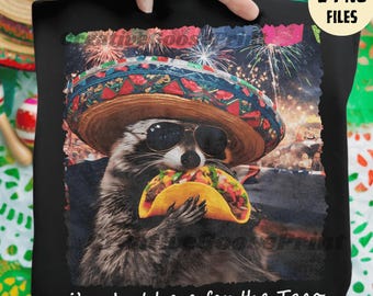 Funny Taco Raccoon PNG, Cinco De Mayo Raccoon, Mexican Sublimation, Taco Tuesday PNG, Mexican Fiesta Trash panda, Sombrero Raccoon