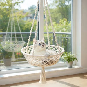 Op de afbeelding: Een witte kat met blauwe ogen ligt in een crèmekleurig macramé kattenbed. Het hangbed heeft een geweven mandontwerp met een kwast en hangt bij een raam. Een tweede hangmand is zichtbaar op de achtergrond.
