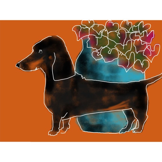 Coloriage Dromadaire Gratuit à Imprimer