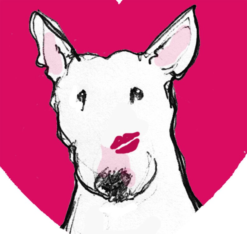 Bull Terrier Valentine Card my Funny Valentine Etsy UK