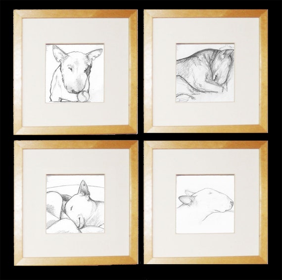 Dessin Au Trait Bull Terrier Spécial Offre 2 Tirages De Votre Choix