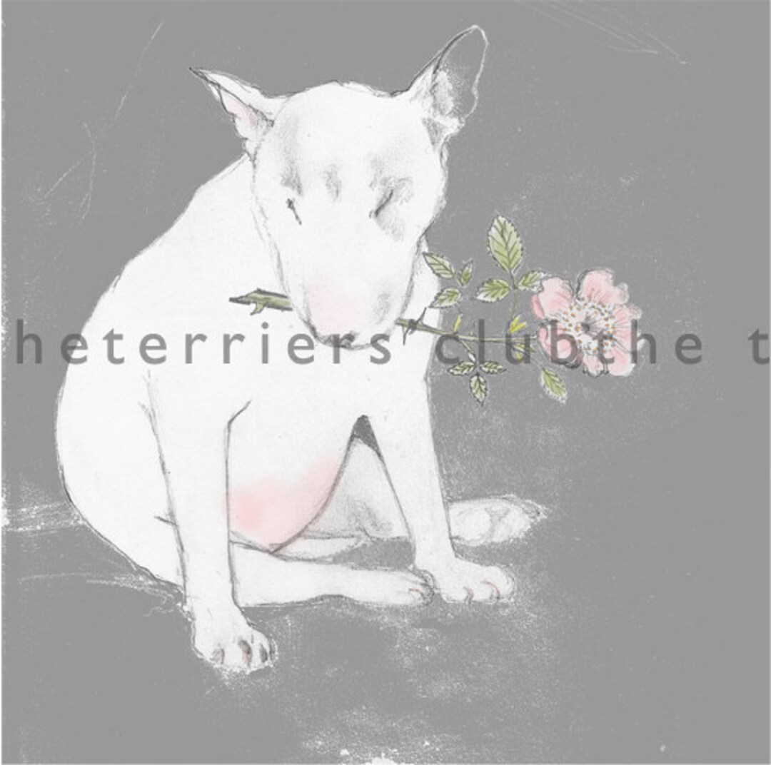 English Bull Terrier With Dog Rose Cards Pack of 4 - Etsy