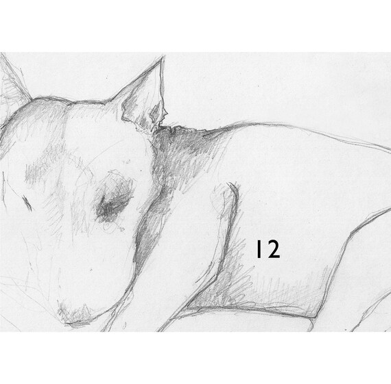 English Bull Terrier Line Drawing Print to frame | Etsy
