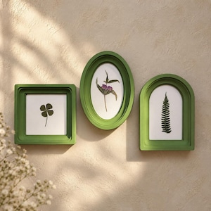 May include: Three green wall frames with pressed botanical specimens. The left frame is square with a four-leaf clover, the center frame is oval with a purple flower, and the right frame is arched with a green fern leaf on a white background.