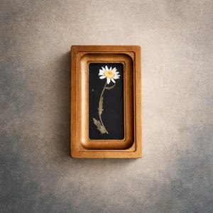 Miniature painting with a pressed chamomile in a gold frame, framed herbarium, botanical wall decor